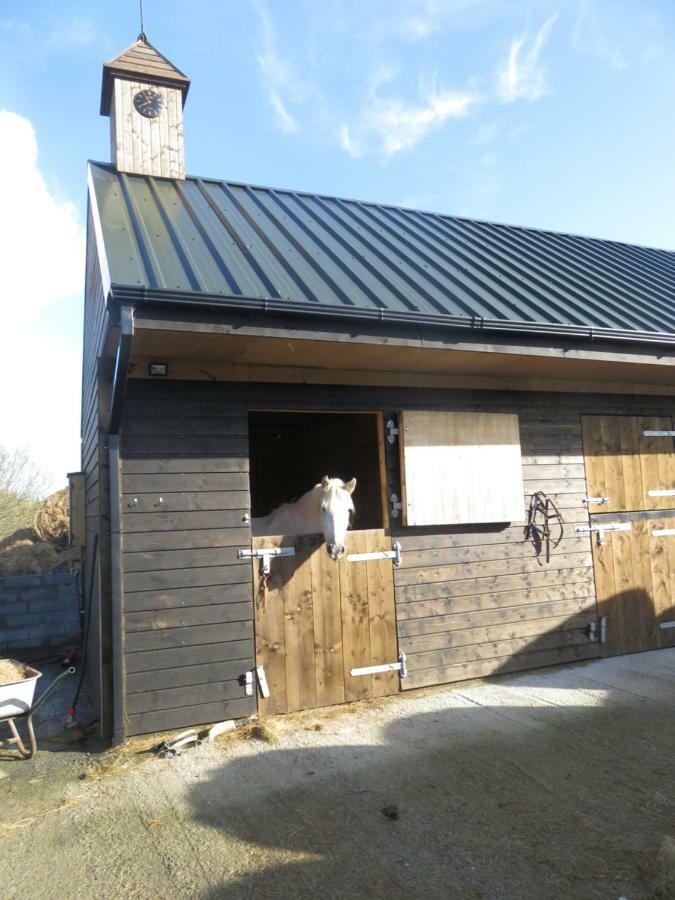 Bunkhouse - Letterfrack Farm Villa Exteriör bild